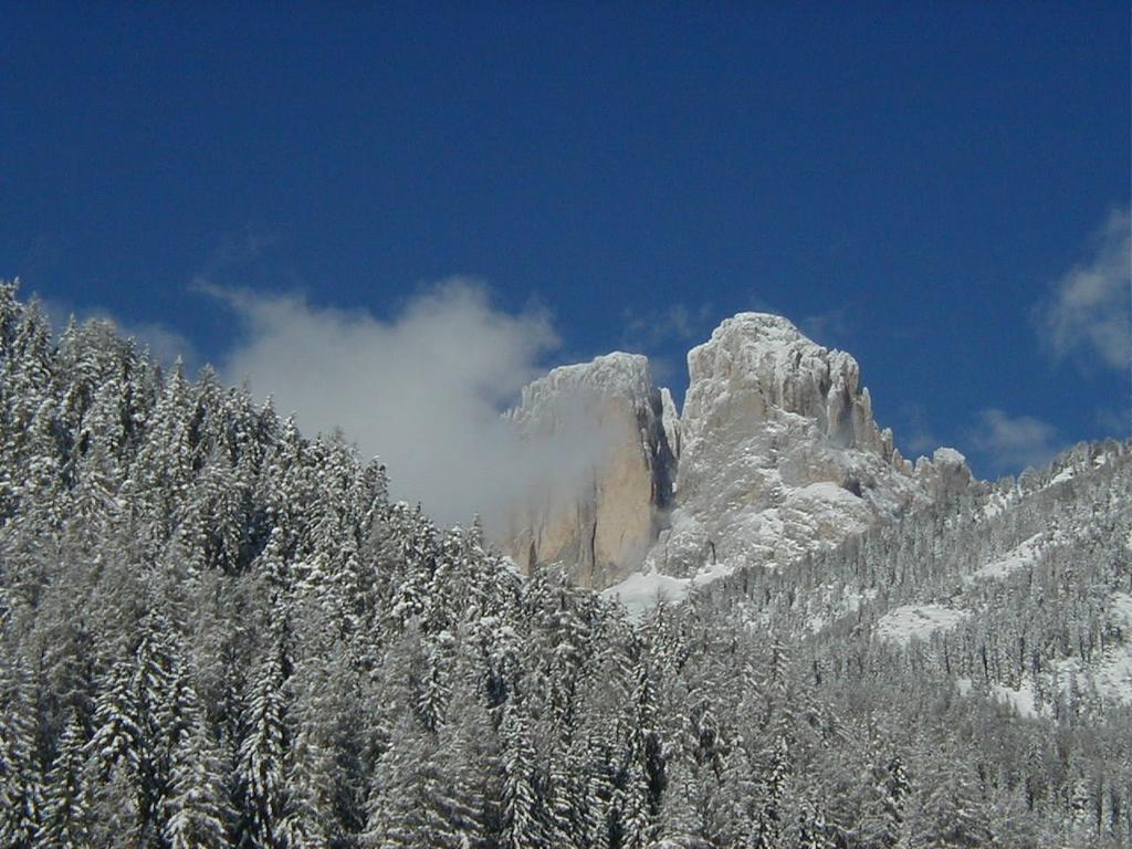 Col Rodella Apartman Campitello di Fassa Szoba fotó